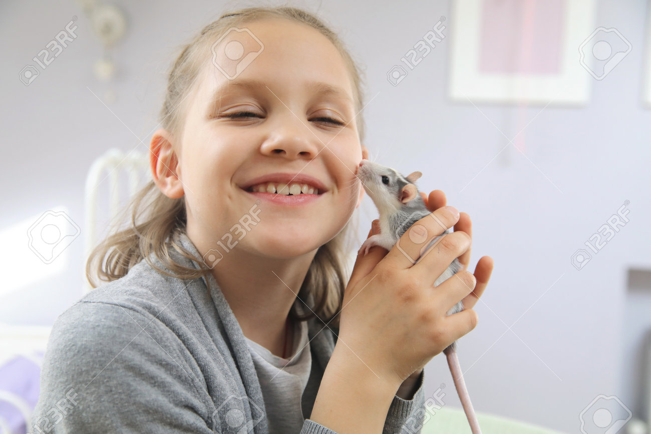 Little girl cute plays and makes friends with a white tamed mouse at home. - 167908408 Little girl cute plays and makes friends with a white tamed mouse at home. - 167908408