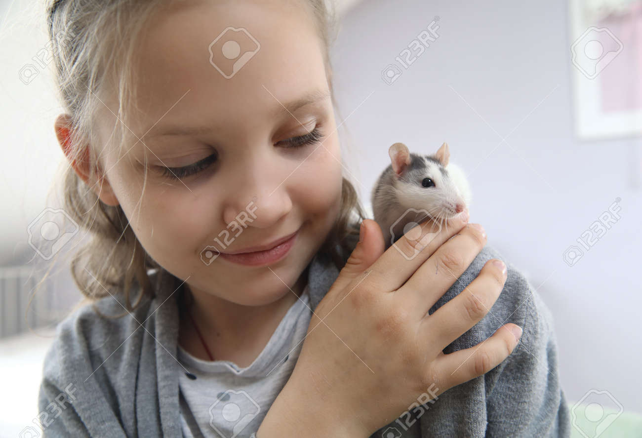 Little girl cute plays and makes friends with a white tamed mouse at home. - 167908846 Little girl cute plays and makes friends with a white tamed mouse at home. - 167908846