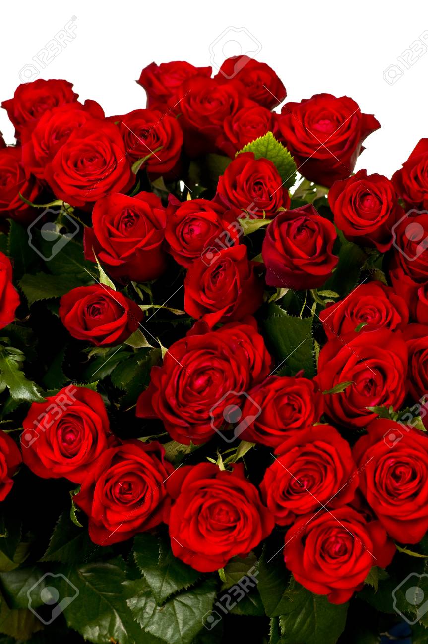 Red Roses A Huge Bouquet Of Flowers Stock Photo Picture