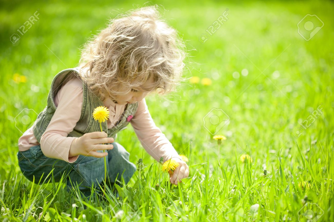 美しい子春の緑の牧草地に花をピックアップします の写真素材 画像素材 Image