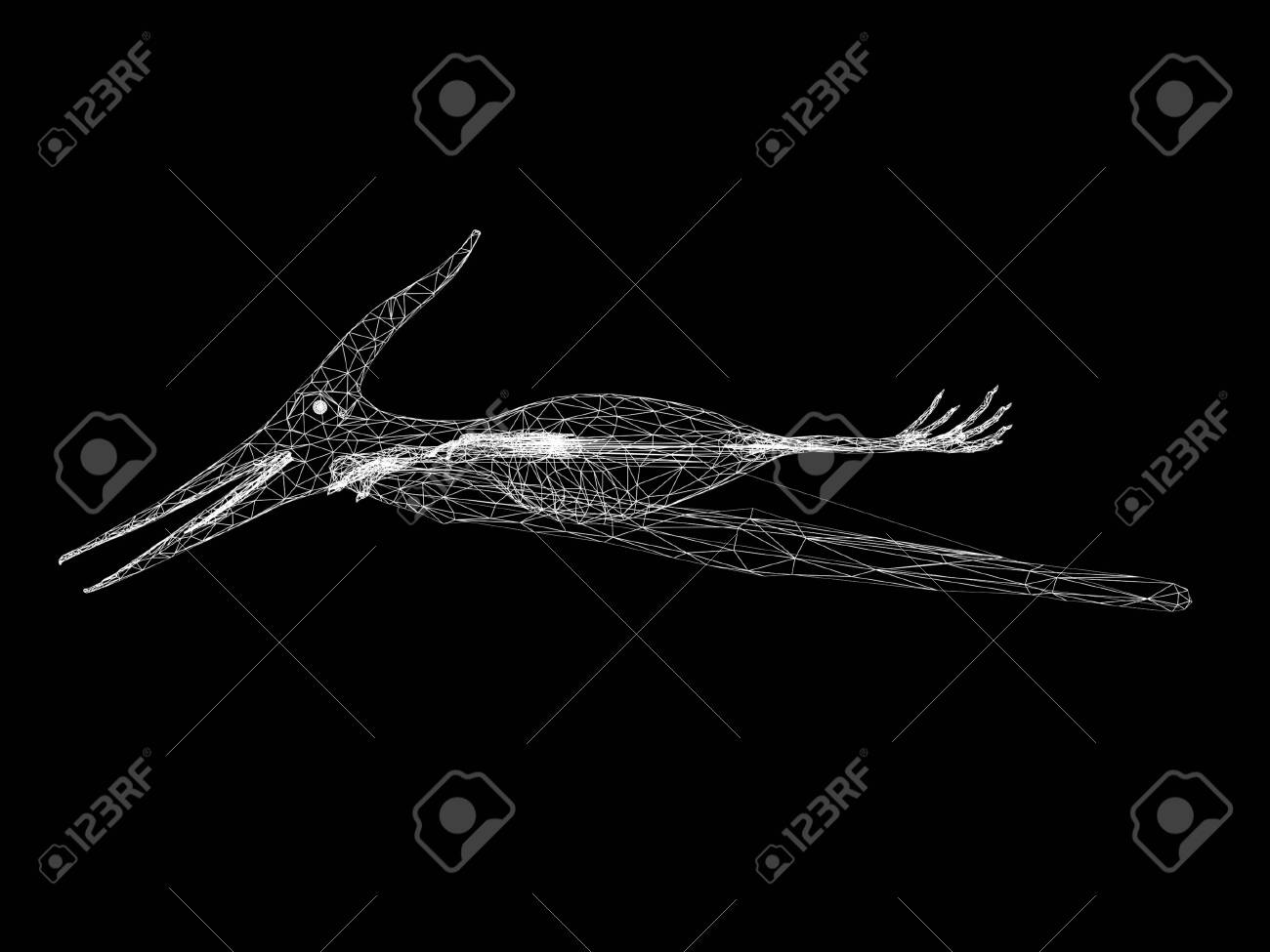 etiam-dictum-ipsum-a-felis