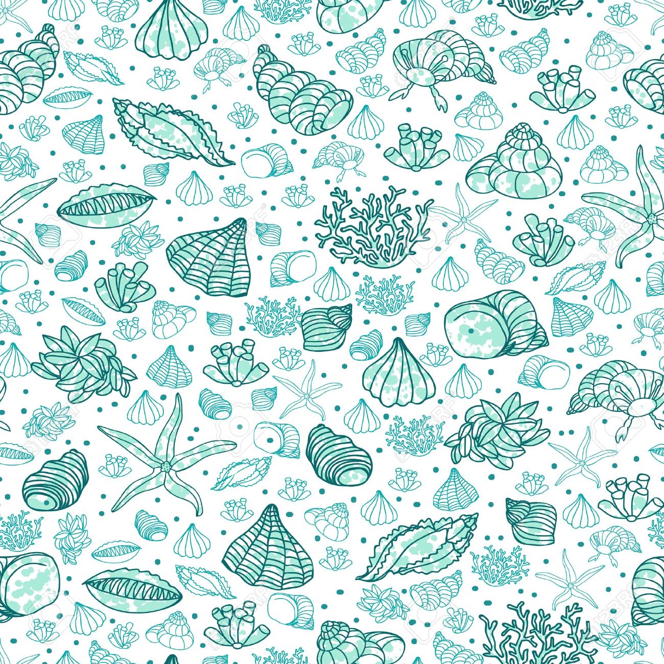 Abstract Background With Seashells Starfish And Algae Concept Royalty Free Cliparts Vectors And Stock Illustration Image 14412577