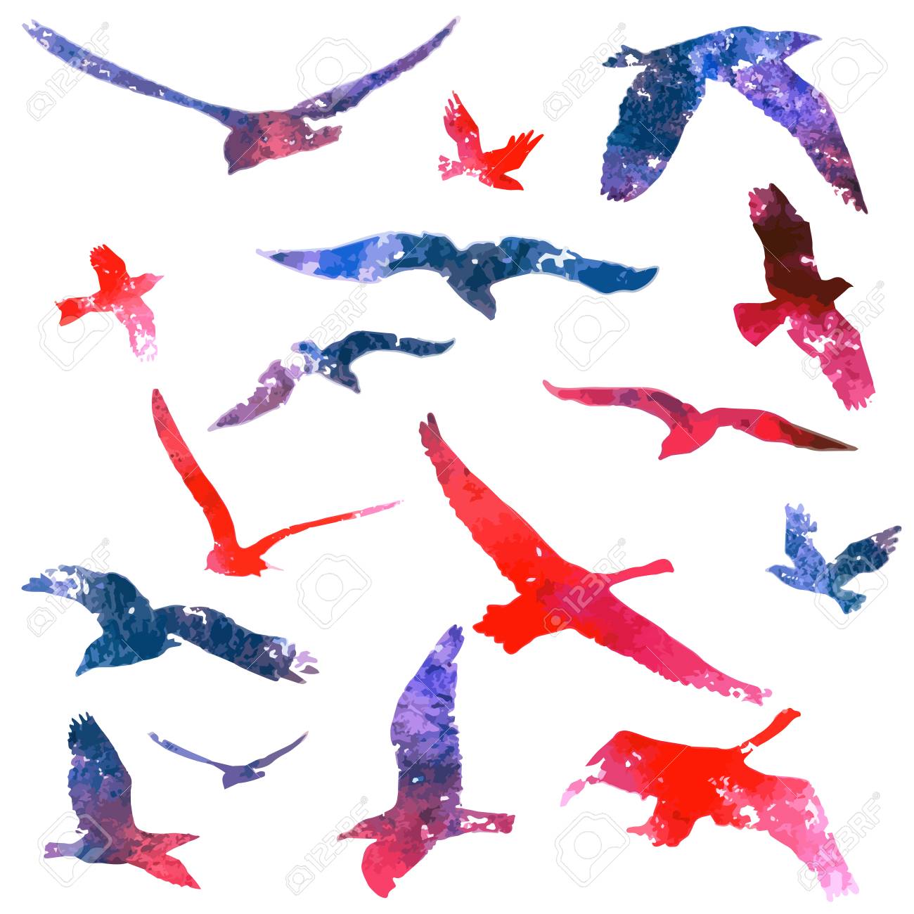 飛ぶ鳥の水彩絵の具のセットです イラスト のイラスト素材 ベクタ Image