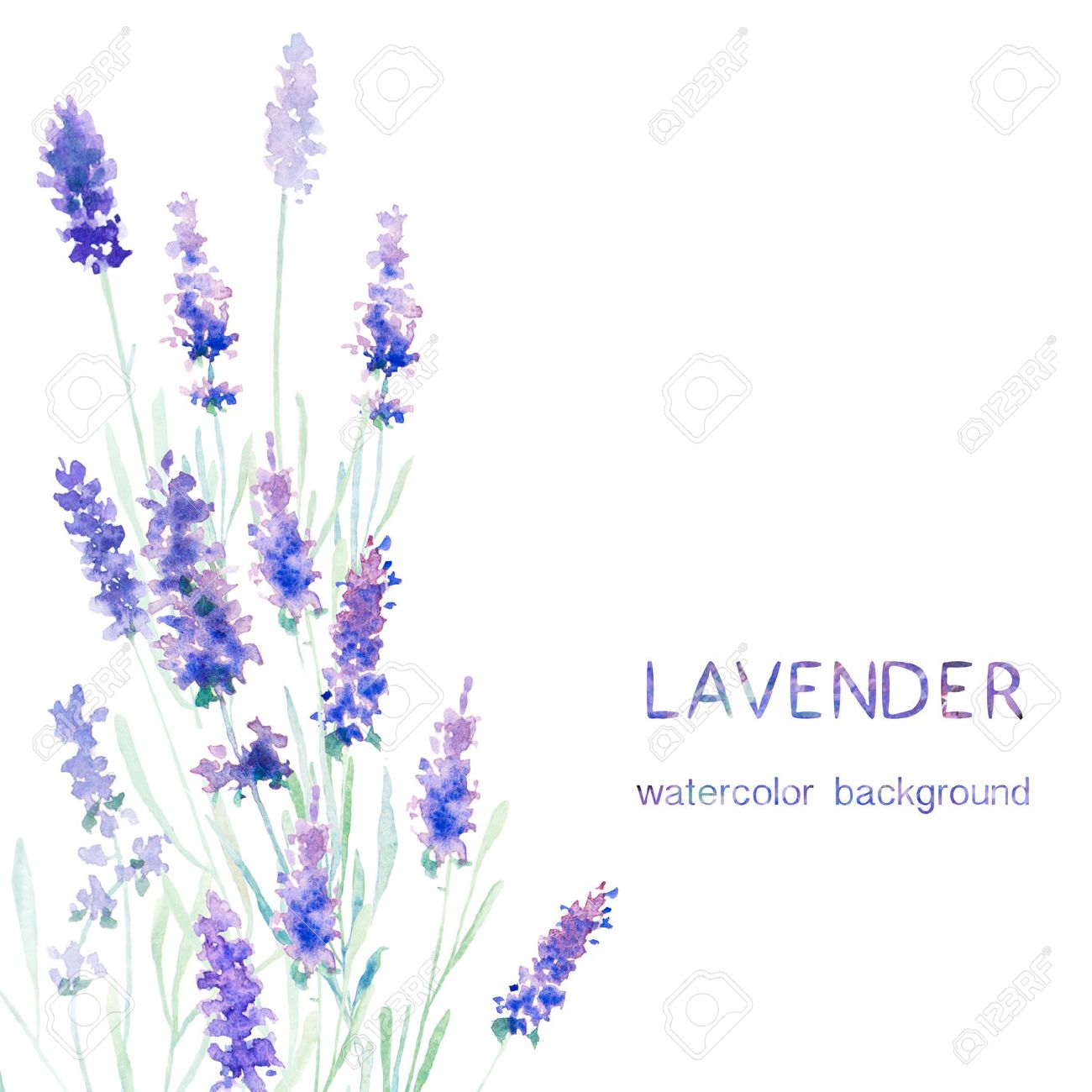 watercolor lavender background card greeting cards invitations