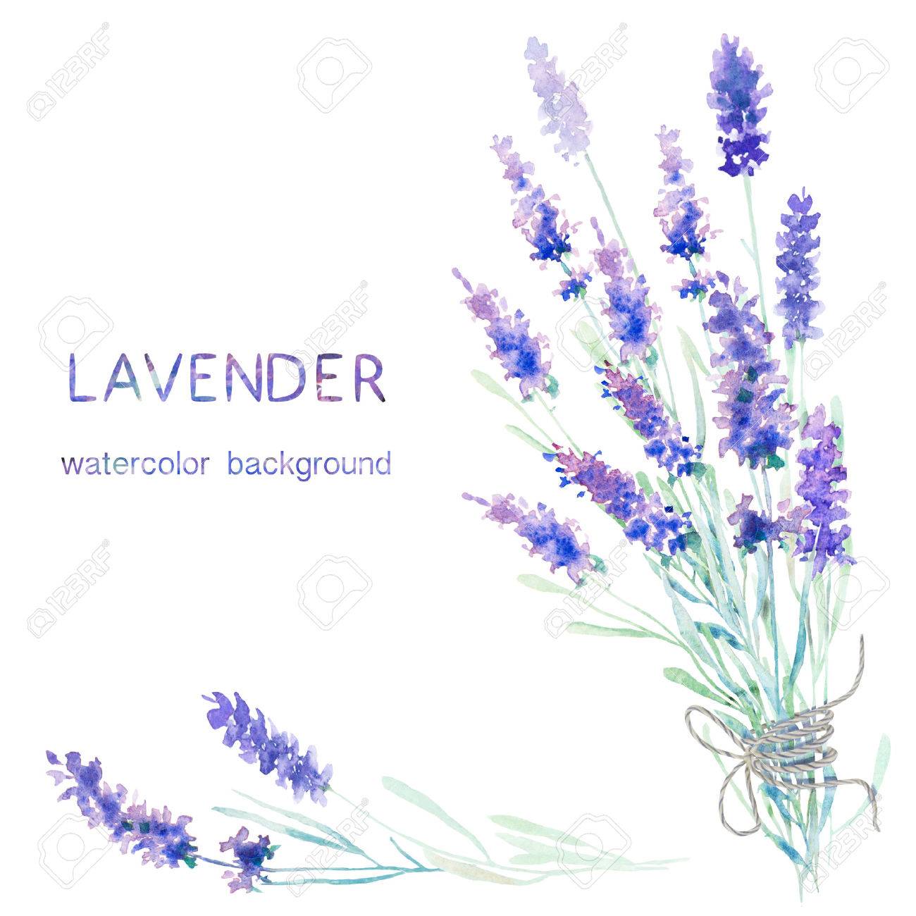 watercolor lavender background card greeting cards invitations