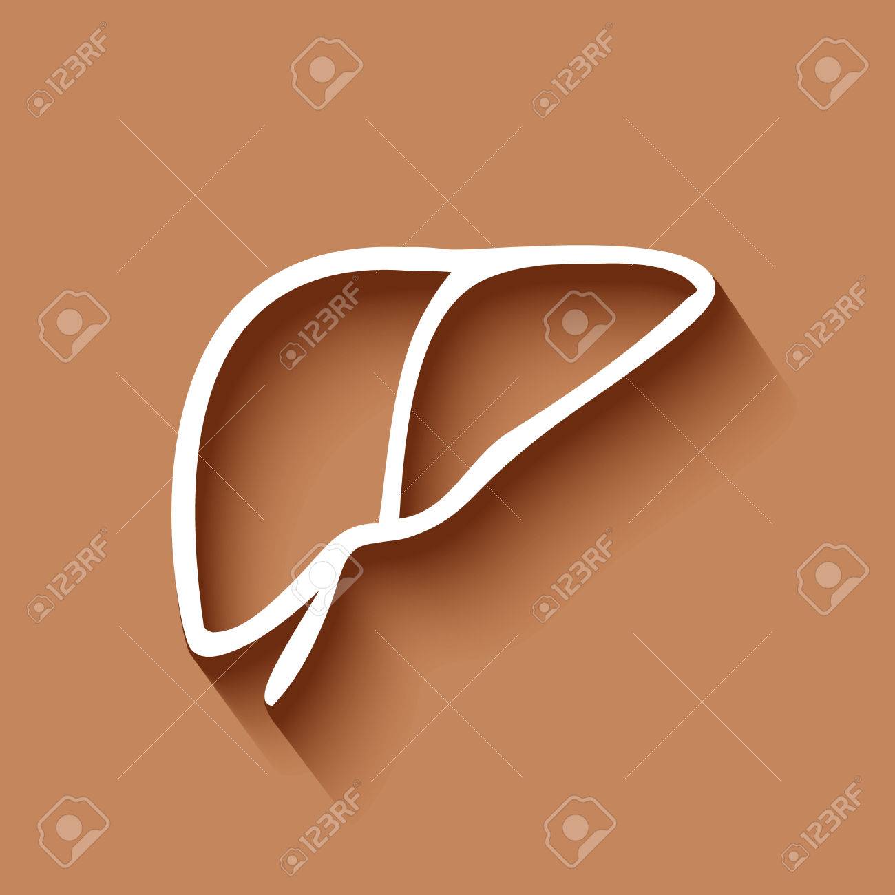 human liver icon logo flat long shadow design royalty free cliparts shadow design