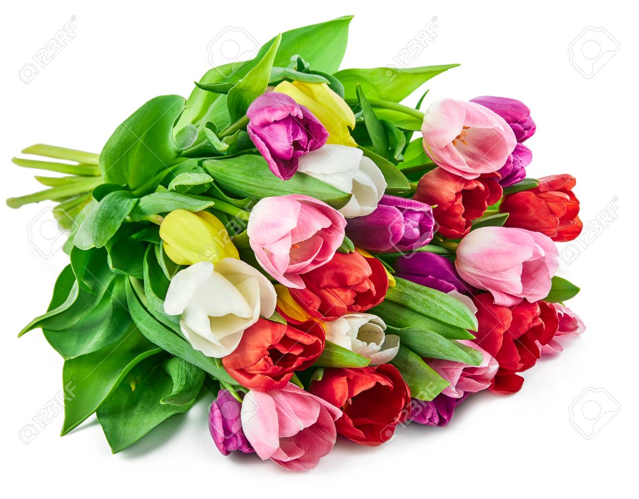 Spring Tulips Flowers Bouquet, Romantic Greeting Gift For Birthday ...