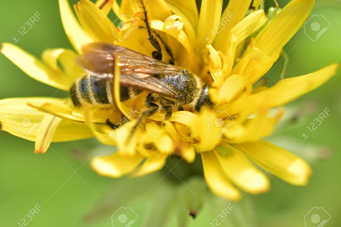 etiam-dictum-ipsum-a-felis