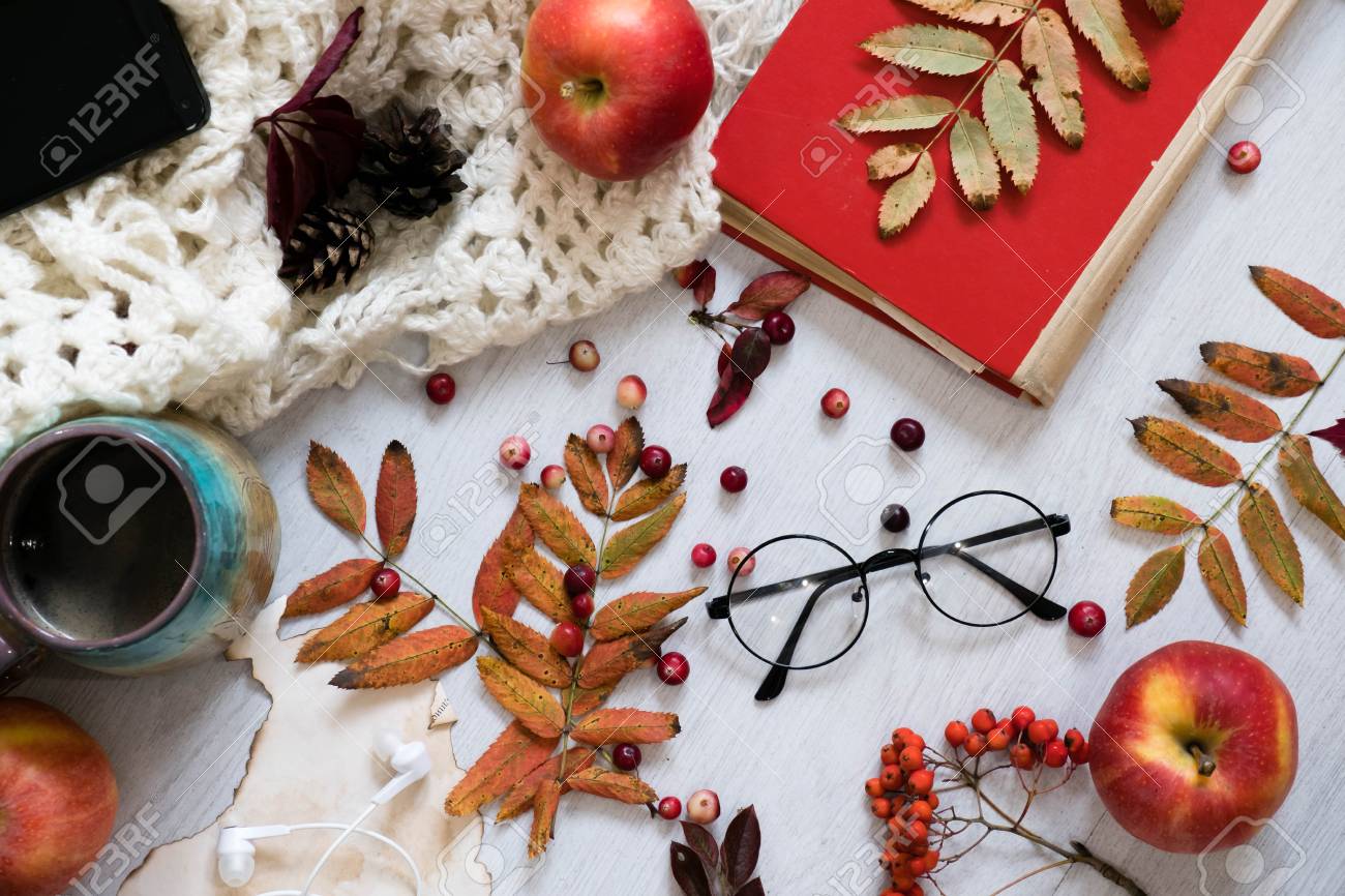 秋の山の葉 白い背景の上の松コーン 美しい紅葉が秋の要素から国境のコレクション 上面図 空間をコピーします カラフルな灰葉の明るいかなり秋ディスプレイ の写真素材 画像素材 Image