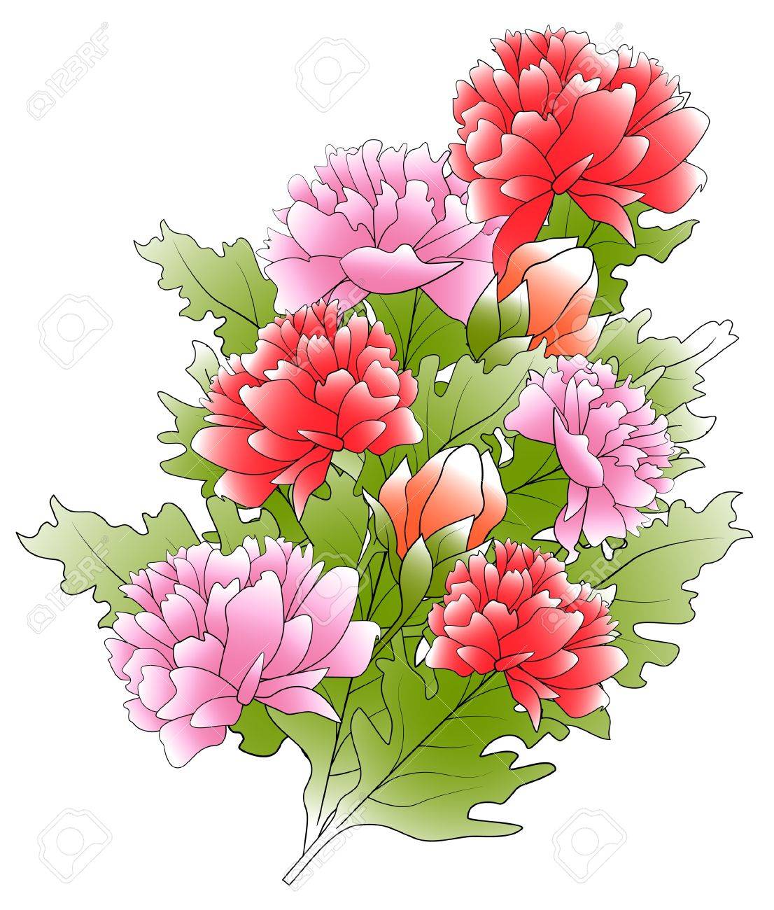 The Bunch Of A Peonies And Green Leafs Royalty Free Cliparts Vectors And Stock Illustration Image