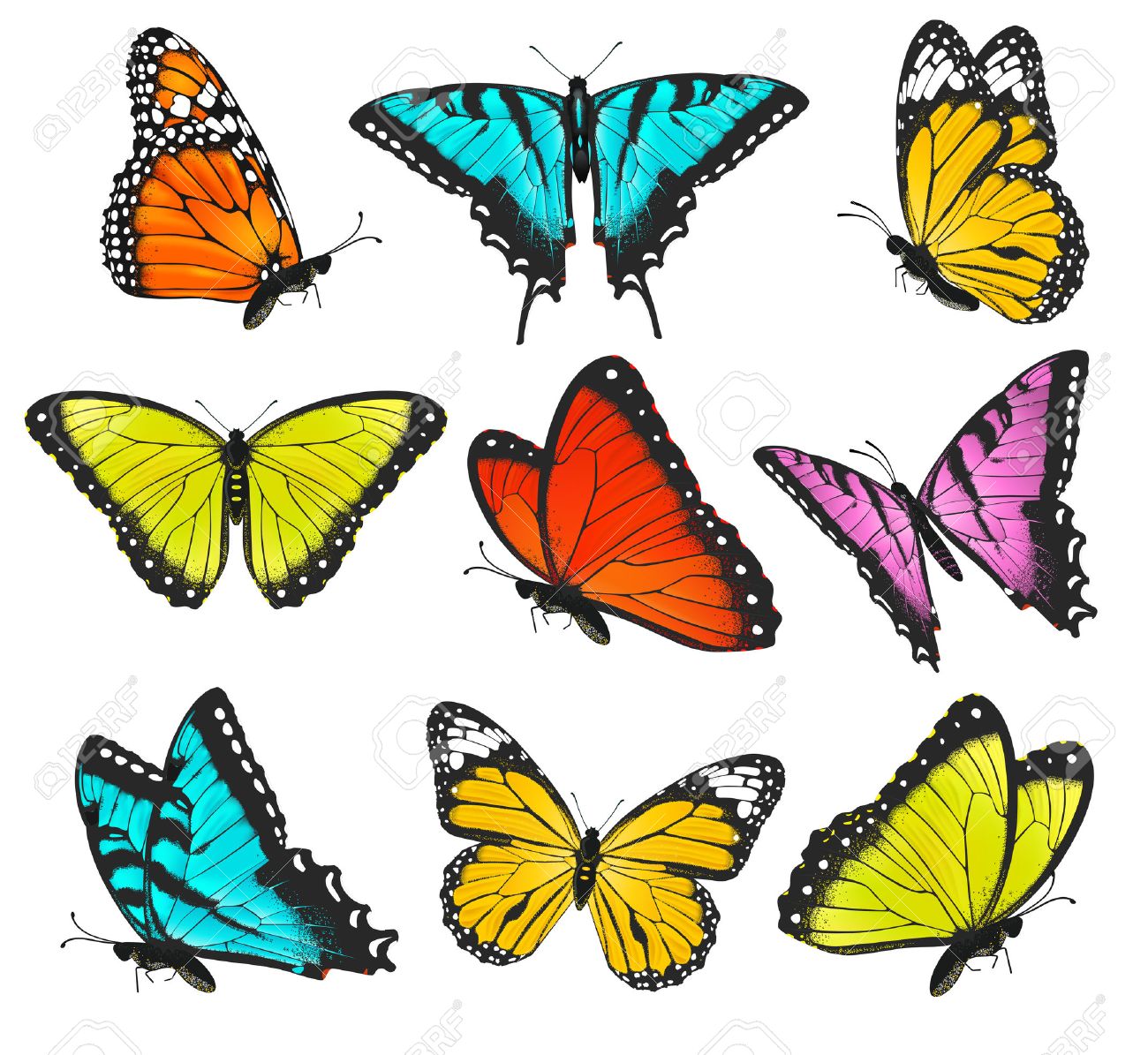 butterfly vector free