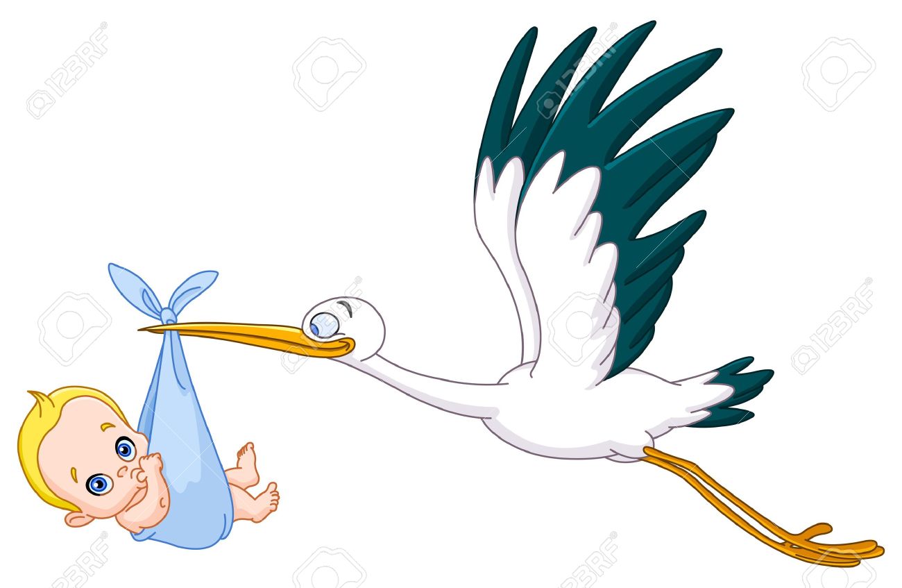 stork carrying a baby boy royalty free cliparts vectors and stock