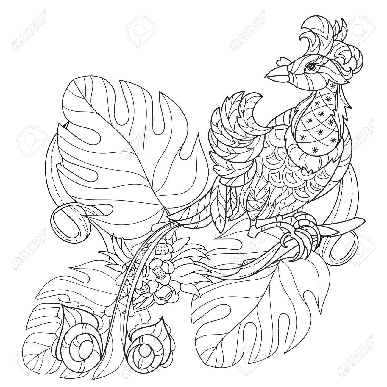 Oiseau Tropical Stylisé De Paradis Illustration Vectorielle Dessinés à La Main Esquisse Pour Tatouage Ou Makhenda Ou Livre De Coloriage Pour
