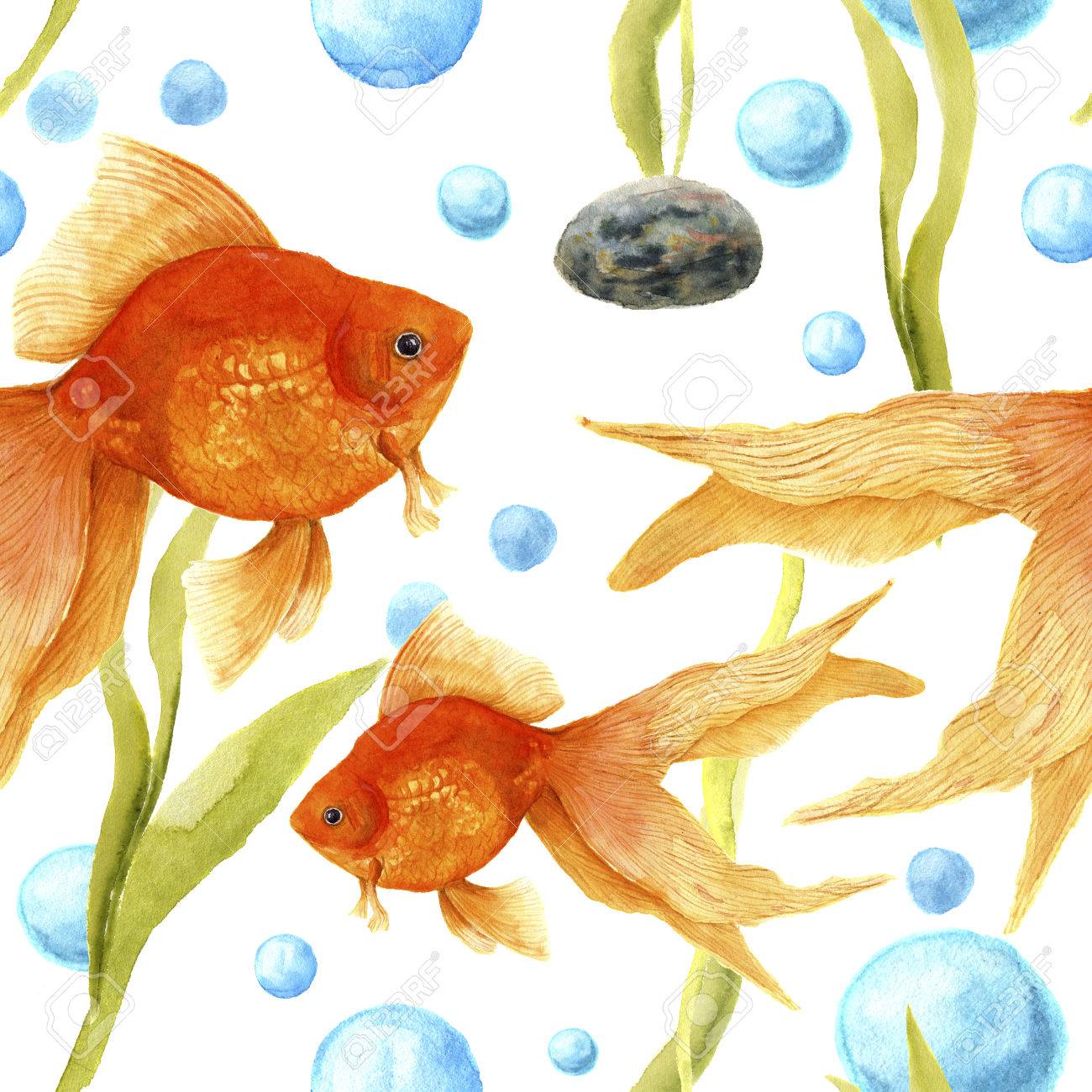 水族館と水彩のパターン 金魚 石 藻類 空気泡 芸術の手描きイラスト デザイン 織物 印刷 の写真素材 画像素材 Image 水族館と水彩のパターン 金魚 石 藻類 空気泡 芸術の手描きイラスト デザイン 織物 印刷 の写真素材 画像素材 Image