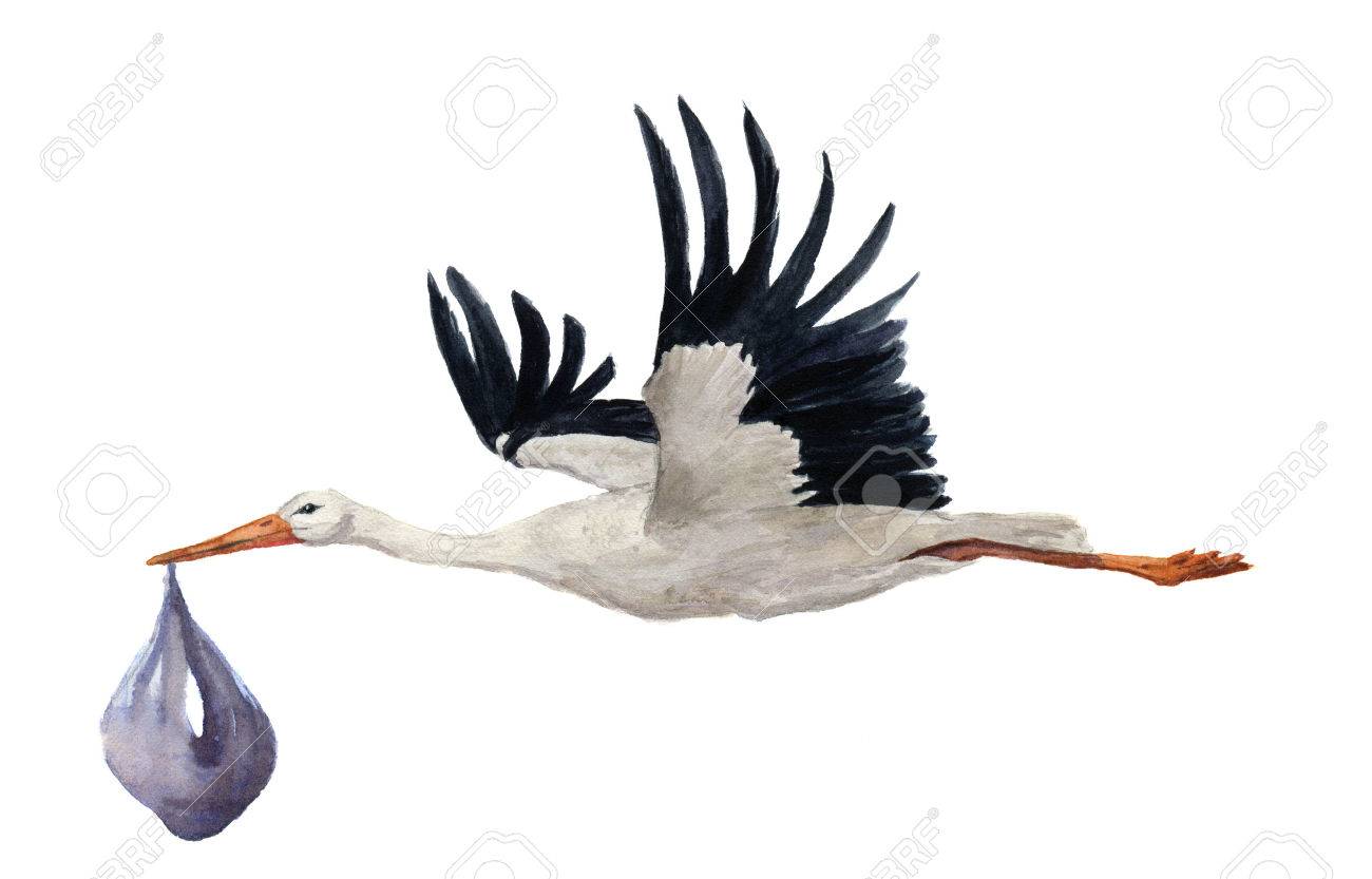 Aquarelle Peinte A La Main Voler Cigogne Blanche Avec Garcon Bebe Main Ciconia Peint Illustration Oiseau Isole Sur Fond Blanc Pour La Conception Gravures Ou Arriere Plan Banque D Images Et Photos Libres De
