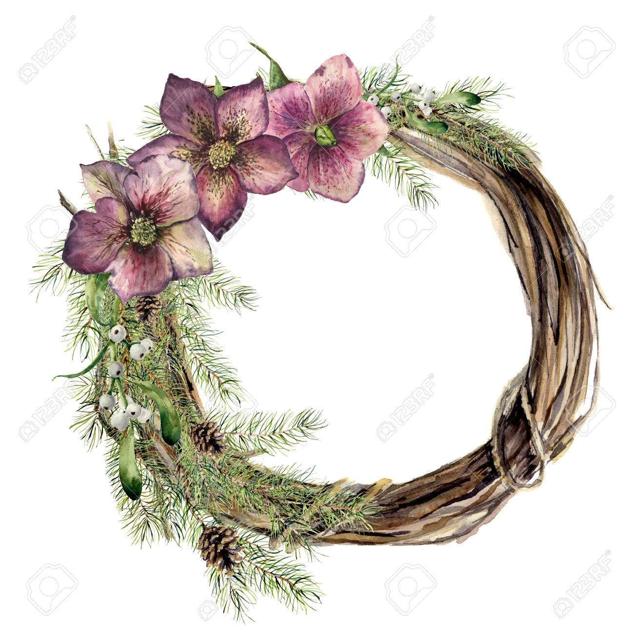 Banque d\u0027images , Couronne de Noël aquarelle avec fleur d\u0027ellébore. Couronne de sapin et branche de bois de nouvel an avec gui et rose de Noël pour la