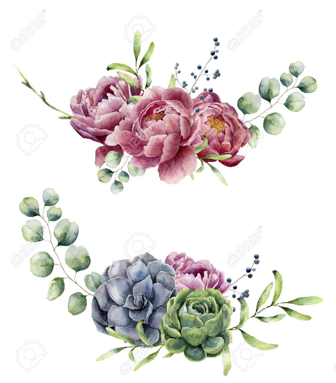 Watercolor floral composition isolated on white background. Vintage style posy set with eucalyptus branches, succulents, peony ,berries, greenery and leaves. Flower hand painted design - 71124636 Watercolor floral composition isolated on white background. Vintage style posy set with eucalyptus branches, succulents, peony ,berries, greenery and leaves. Flower hand painted design - 71124636