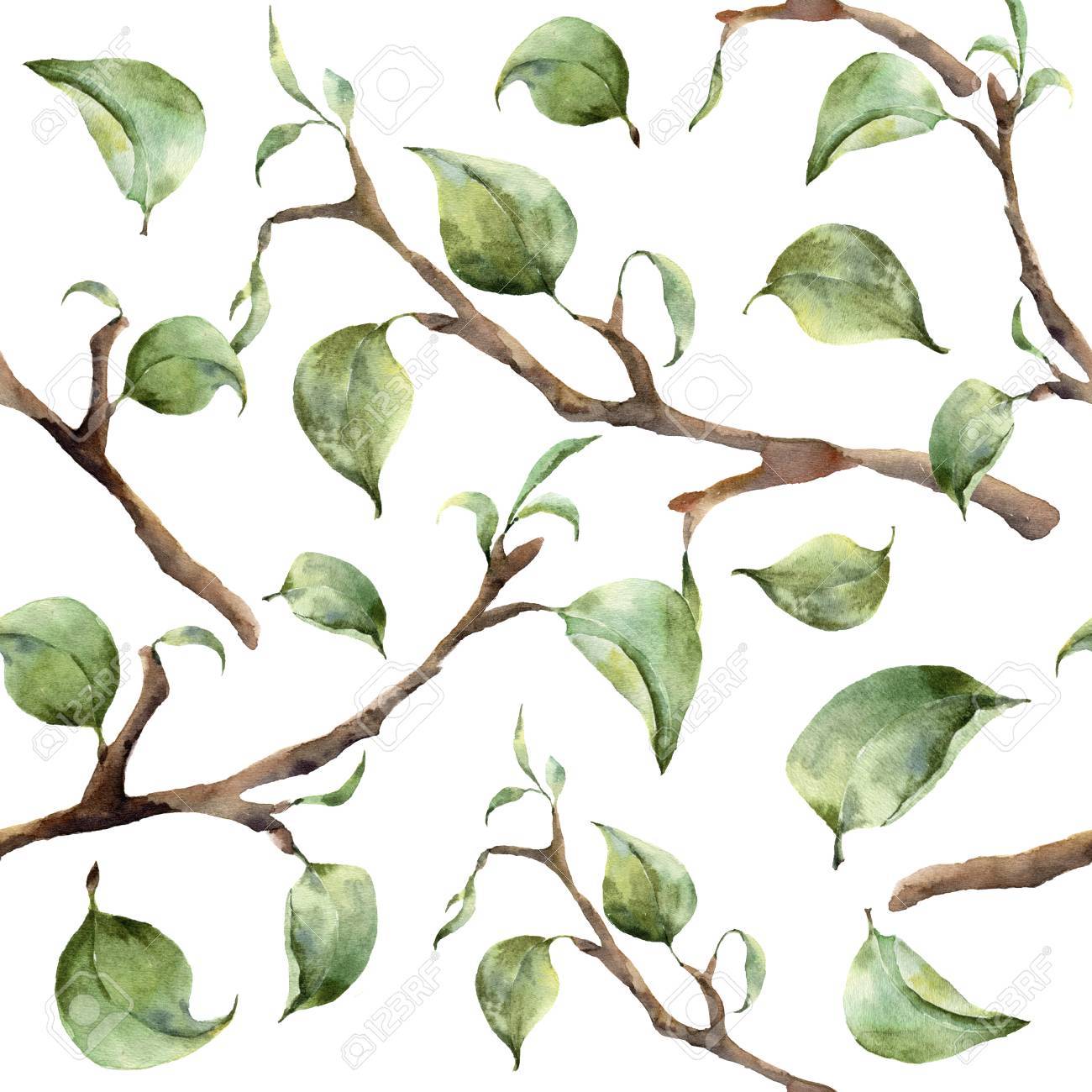 Watercolor Pattern With Tree Branches And Leaves Hand Painted Stock Photo Picture And Royalty Free Image Image