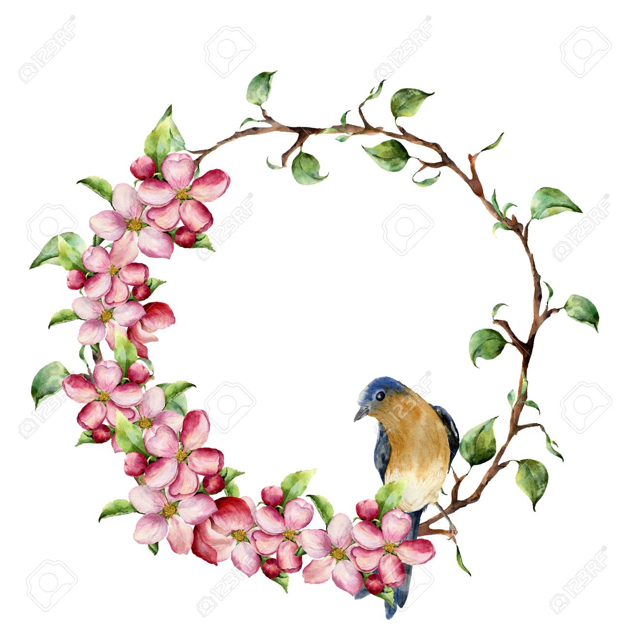 木の枝 リンゴ花と鳥と水彩の花輪 手描きの花のイラストが白い背景に分離されました デザインの春の要素 の写真素材 画像素材 Image