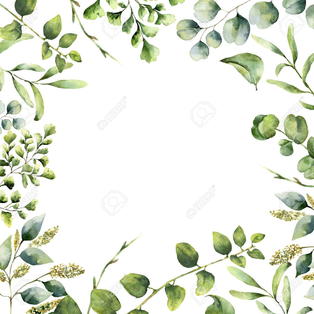 Aquarell Floralen Rahmen Hand Bemalte Pflanze Karte Mit Eukalyptus Farn Und Fruhjahr Grun Zweige Isoliert Auf Weissem Hintergrund Druck Fur Design Oder Hintergrund Lizenzfreie Fotos Bilder Und Stock Fotografie Image