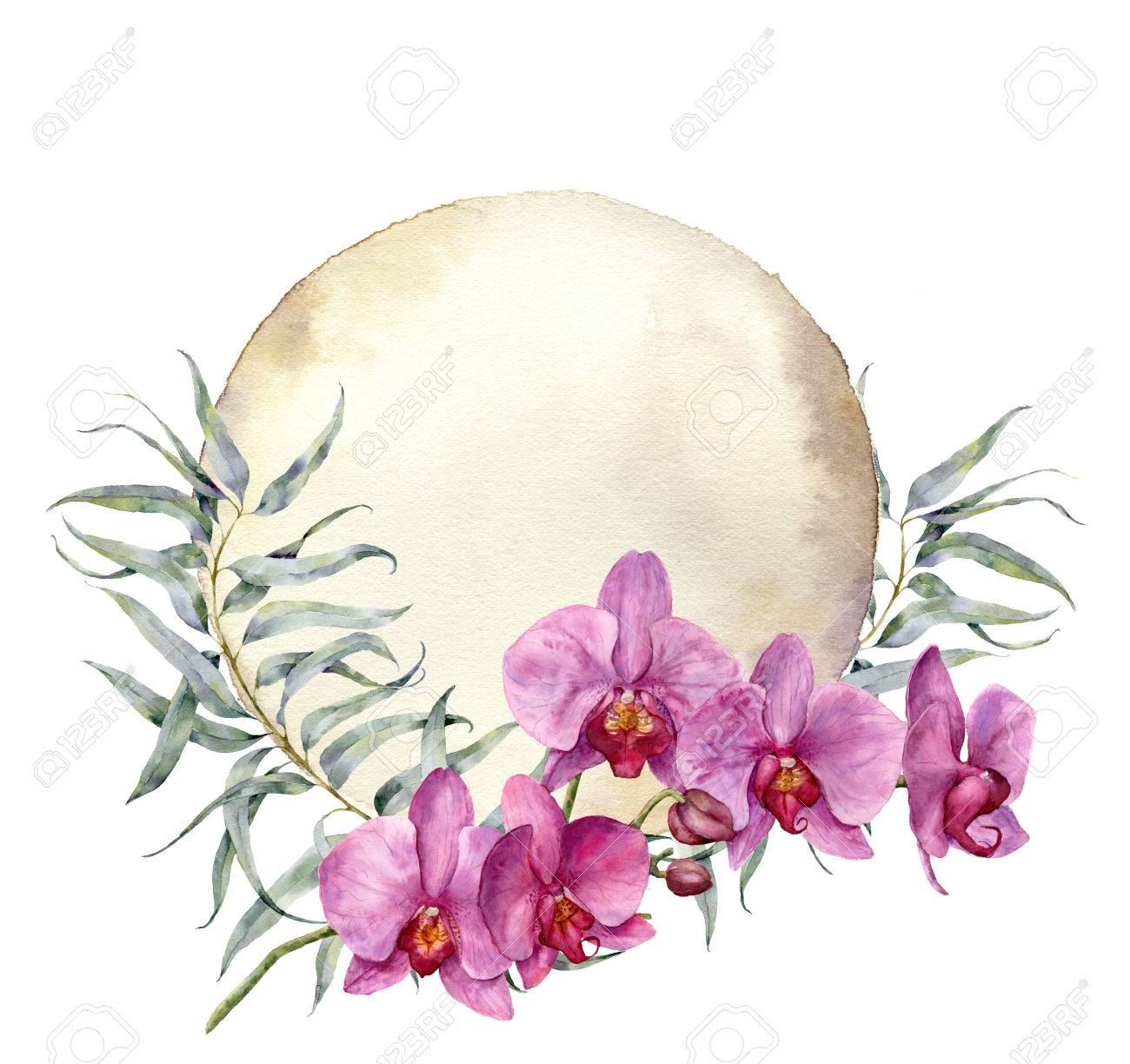 Watercolor Vintage Card With Orchids And Eucalyptus Leaves Hand Stock Photo Picture And Royalty Free Image Image 75388256