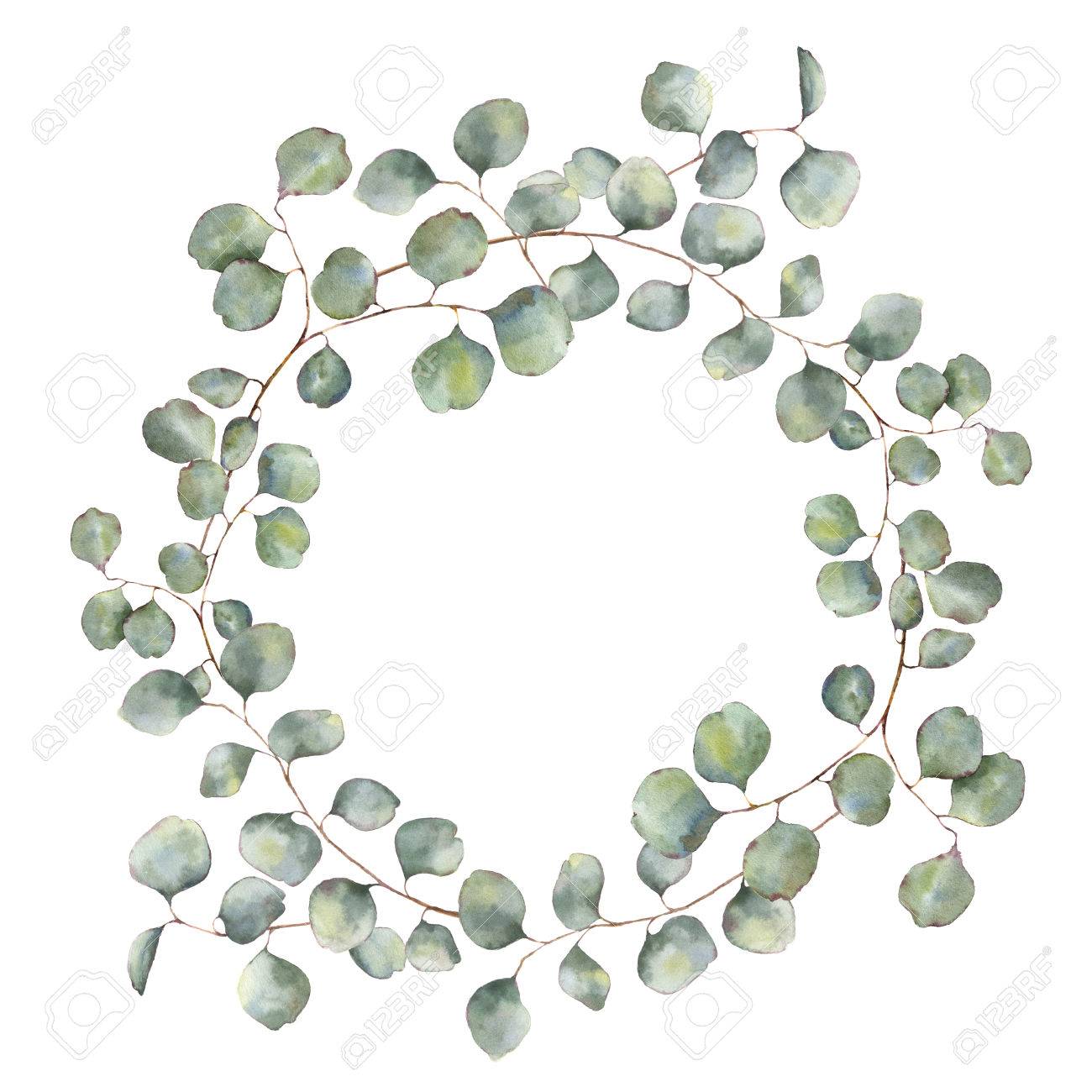 Watercolor wreath with silver dollar eucalyptus branch. Hand painted floral illustration with round leaves isolated on white background. For design or print - 76049585 Watercolor wreath with silver dollar eucalyptus branch. Hand painted floral illustration with round leaves isolated on white background. For design or print - 76049585