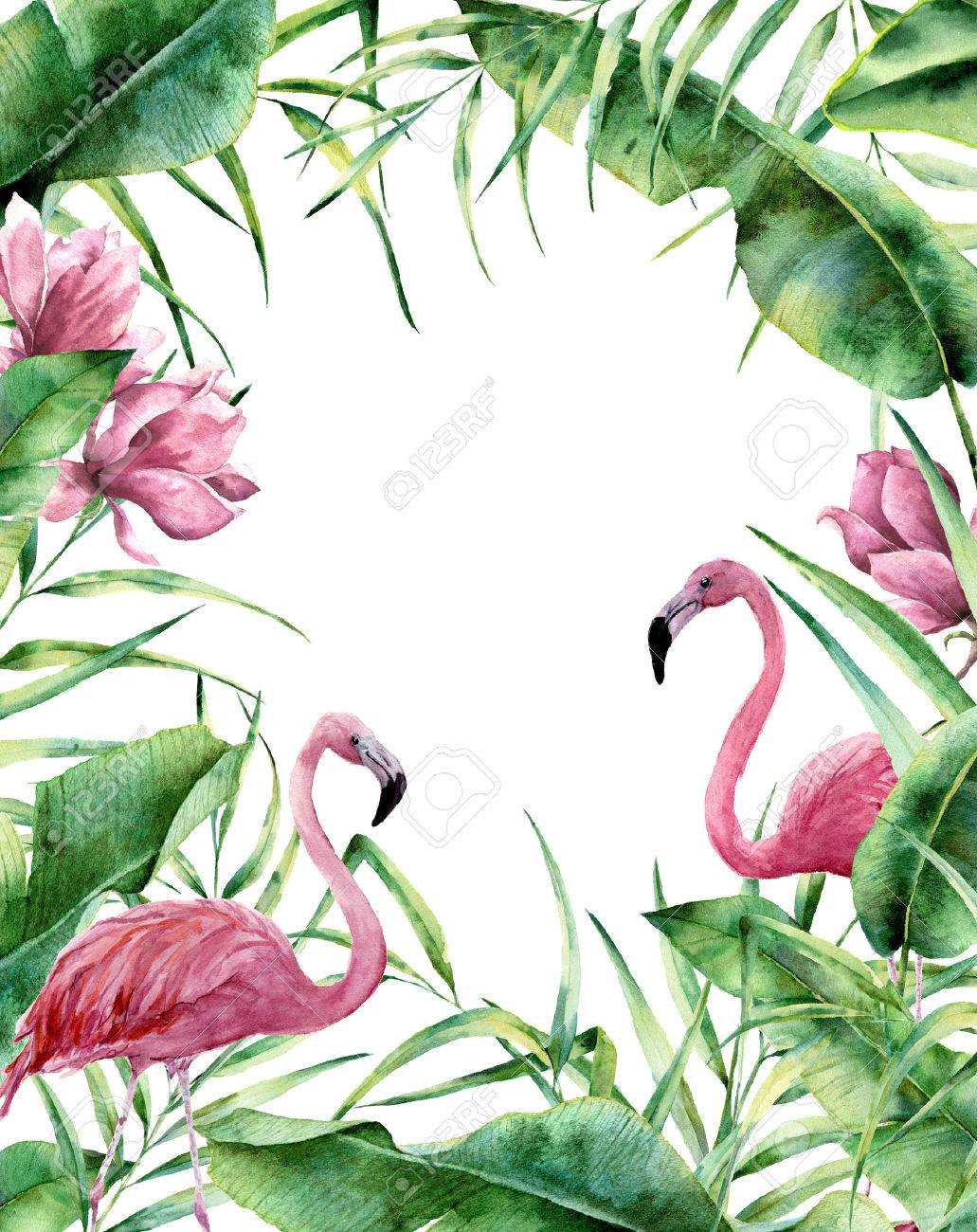 Watercolor tropical frame. Hand painted exotic floral border with palm tree leaves, banana branch, magnolia flowers and flamingo isolated on white background. For wedding and greeting design or print. - 77902771 Watercolor tropical frame. Hand painted exotic floral border with palm tree leaves, banana branch, magnolia flowers and flamingo isolated on white background. For wedding and greeting design or print. - 77902771