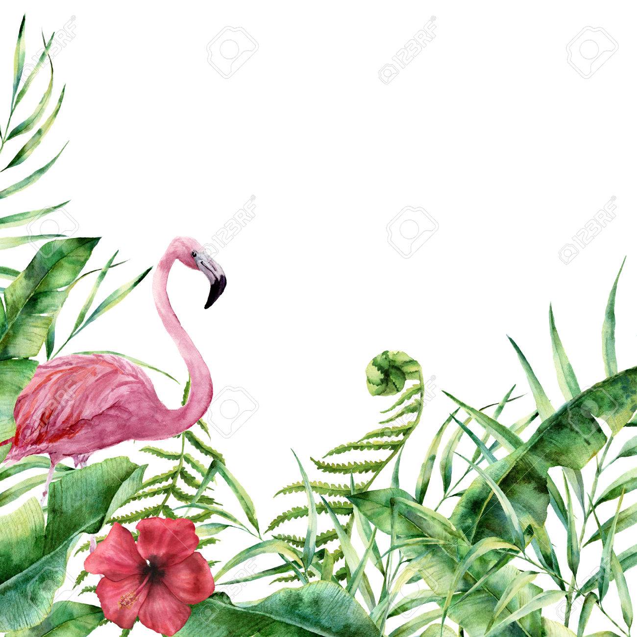 Watercolor tropical nature card. Hand painted floral frame with palm tree leaves, fern branch, banana and magnolia leaves, hibiscus flower and flamingo isolated on white background. Greeting design - 78903993 Watercolor tropical nature card. Hand painted floral frame with palm tree leaves, fern branch, banana and magnolia leaves, hibiscus flower and flamingo isolated on white background. Greeting design - 78903993