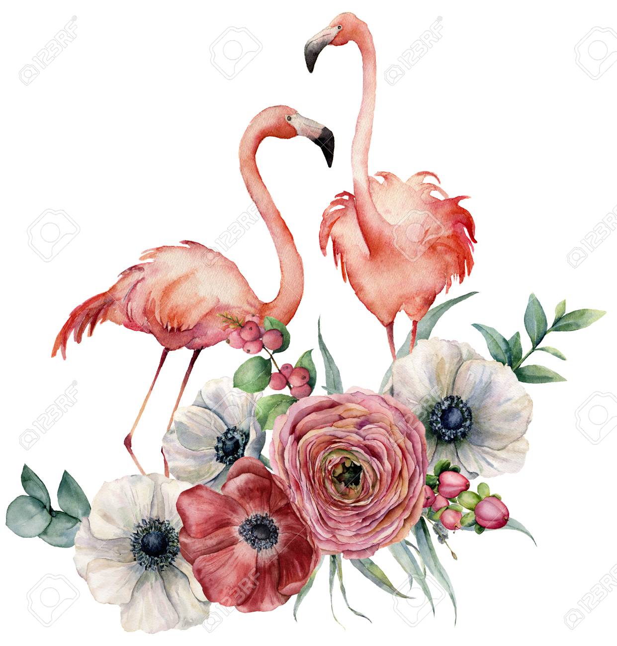 Watercolor flamingo with ranunculus bouquet. Hand painted exotic birds with anemone, eucalyptus leaves and branch isolated on white background. Wildlife illustration for design, print or background. - 103371506 Watercolor flamingo with ranunculus bouquet. Hand painted exotic birds with anemone, eucalyptus leaves and branch isolated on white background. Wildlife illustration for design, print or background. - 103371506