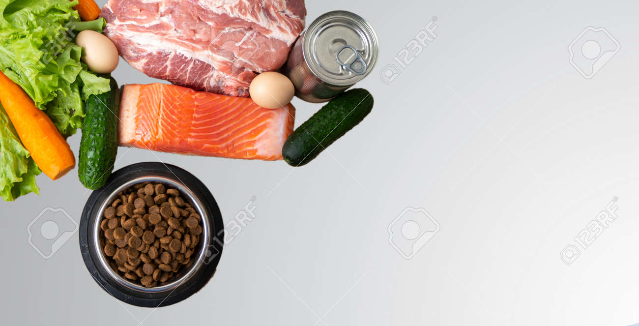 Dry pet dog food feed with natural ingredients. Raw meat, fish, vegetables, eggs and salad near bowl with dry pet feed, isolated with copy space flatly - 160128798 Dry pet dog food feed with natural ingredients. Raw meat, fish, vegetables, eggs and salad near bowl with dry pet feed, isolated with copy space flatly - 160128798