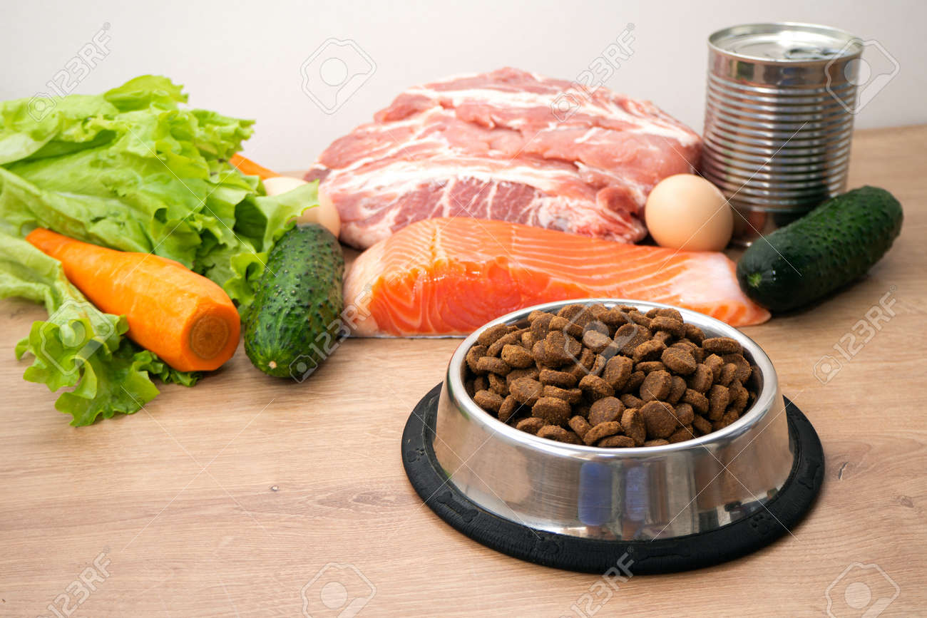 Dry pet dog food with natural ingredients. Raw meat, fish, vegetables, eggs and salad near bowl with dry pet feed. concept of a correct balanced and healthy nutrition for pet, close up - 159864123 Dry pet dog food with natural ingredients. Raw meat, fish, vegetables, eggs and salad near bowl with dry pet feed. concept of a correct balanced and healthy nutrition for pet, close up - 159864123