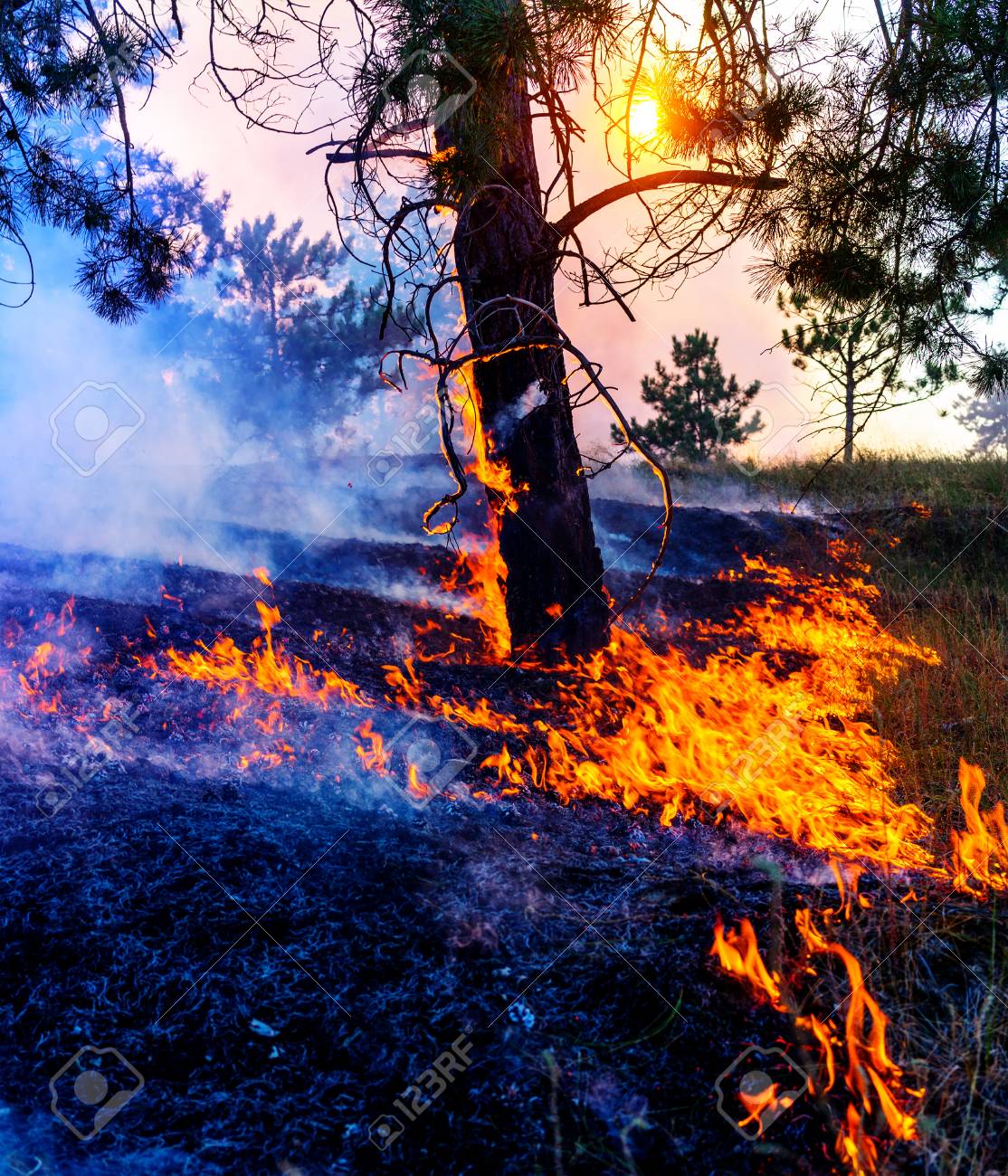 Video de suma Importancia