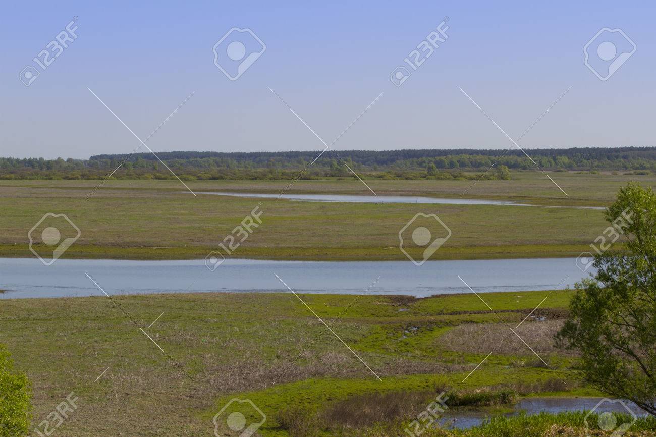 ウクライナ北部の湿地森林の素晴らしい風景です ロシアとベラルーシとウクライナの国境に湿地 の写真素材 画像素材 Image ウクライナ北部の湿地森林の素晴らしい風景です ロシアとベラルーシとウクライナの国境に湿地 の写真素材 画像素材 Image