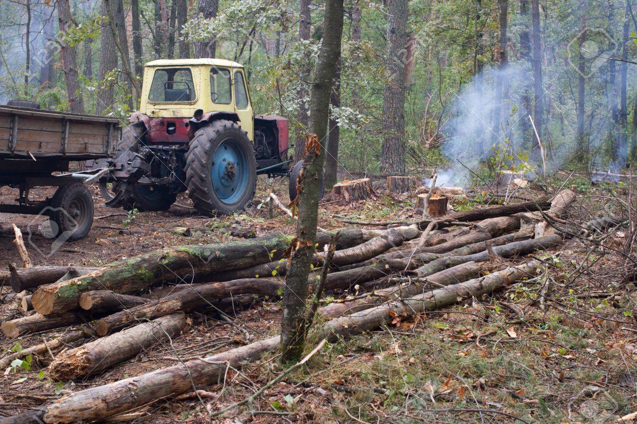 forest tractor
