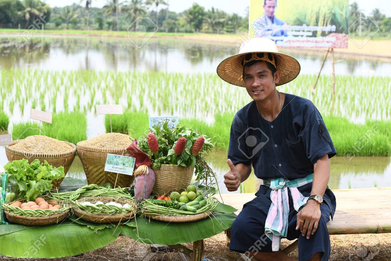 SINGBURI - THAILAND 18 : Farmers planting rice by demonstrating sufficient economy like Kings and Thailand show their loyalty to The monarchy at Bangrachan on October 18, 2016 in Singburi, Thailand. - 64637659 SINGBURI - THAILAND 18 : Farmers planting rice by demonstrating sufficient economy like Kings and Thailand show their loyalty to The monarchy at Bangrachan on October 18, 2016 in Singburi, Thailand. - 64637659