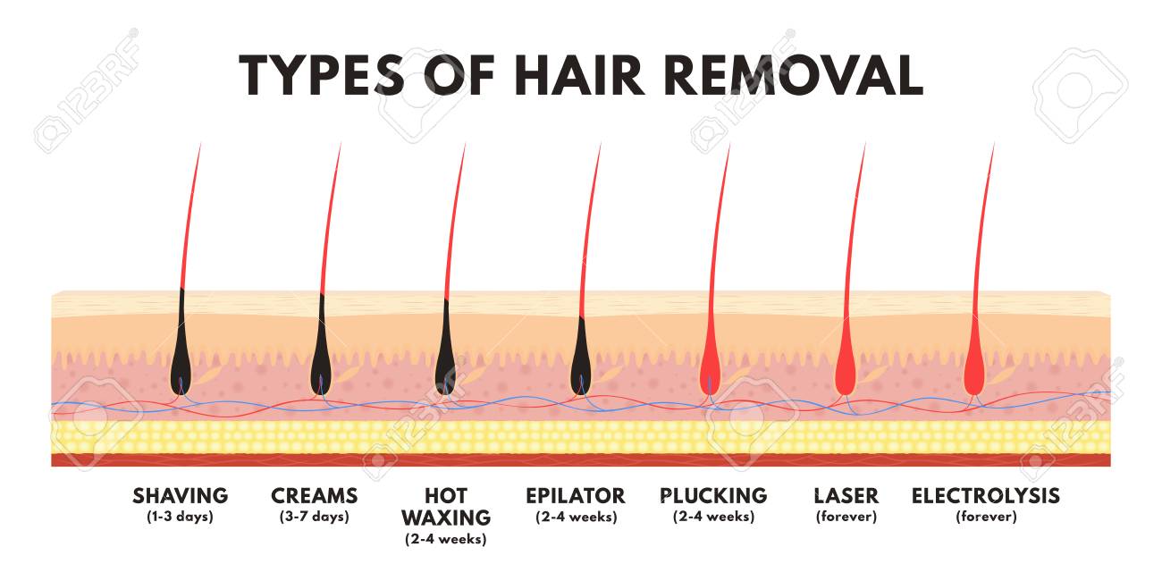 Hair Removal Concept Shaving Depilation Cream Waxing Epilator