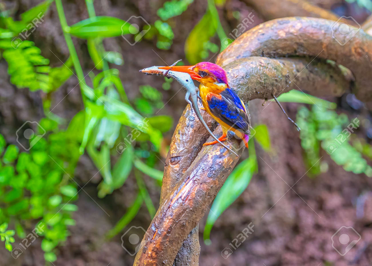 etiam-dictum-ipsum-a-felis