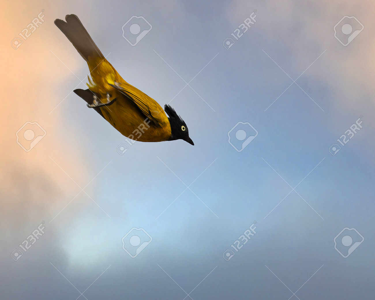 etiam-dictum-ipsum-a-felis