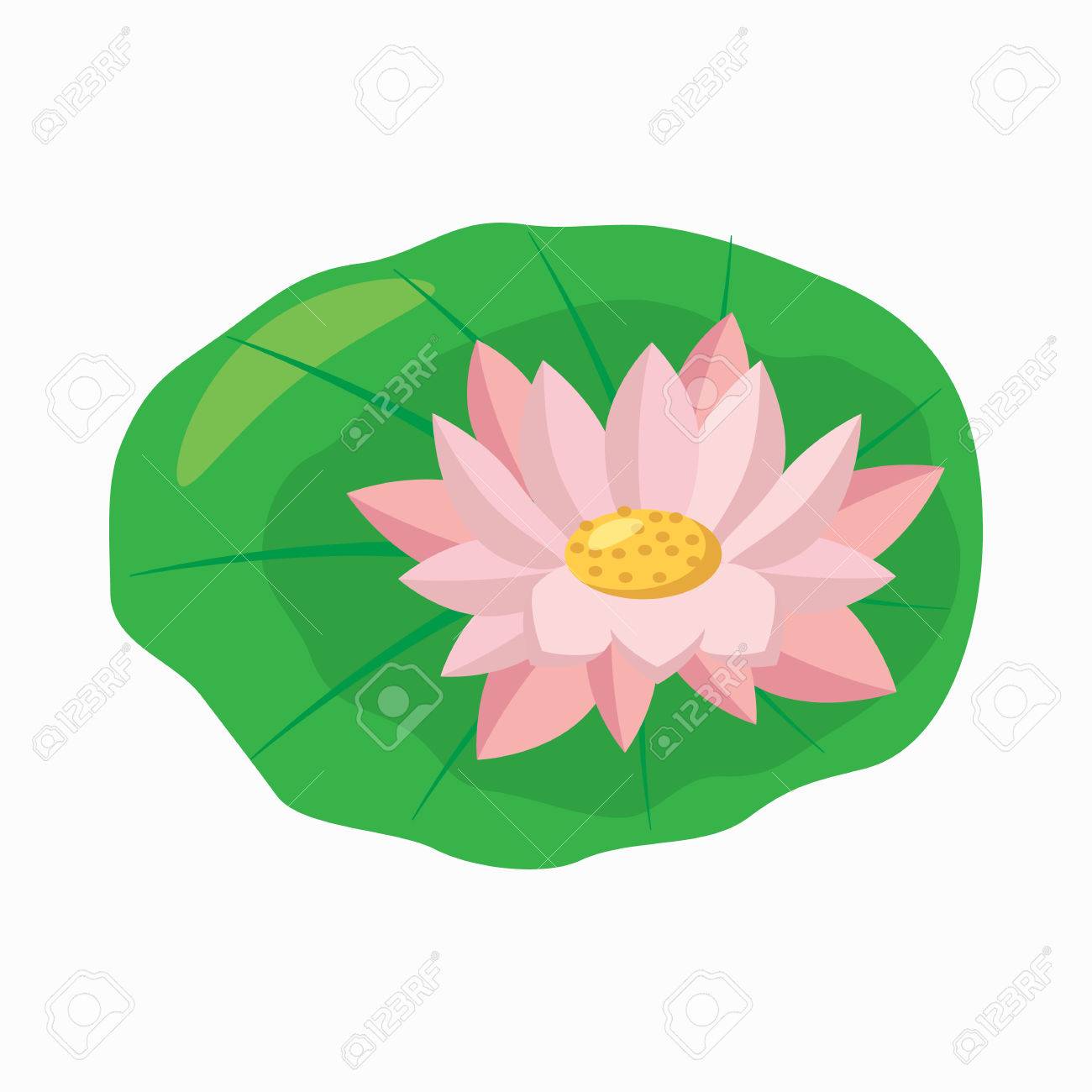 Lotus Flower On Green Leaf Icon In Cartoon Style Isolated On White Background Royalty Free Cliparts Vectors And Stock Illustration Image 55045905