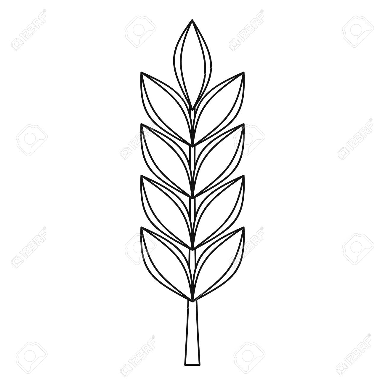 Wheat Spike Icon, Outline Style Royalty Free SVG, Cliparts, Vectors, and  Stock Illustration. Image 72200510., image size:1300x1300