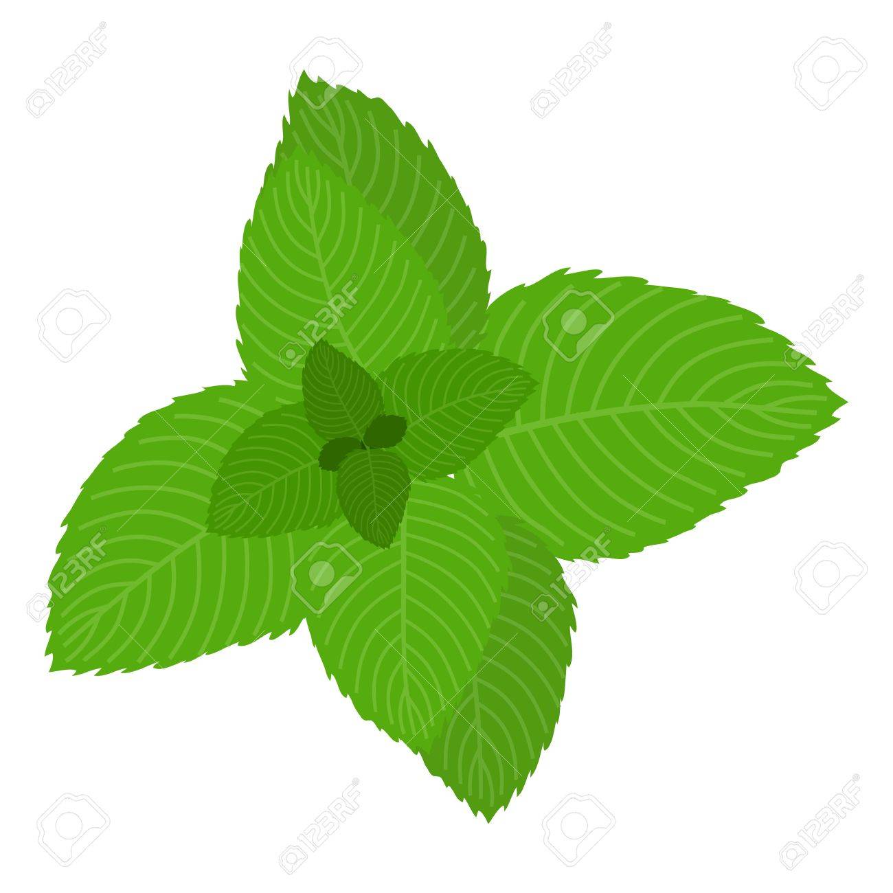 ミント アイコン 漫画のスタイルのイラスト素材 ベクタ Image