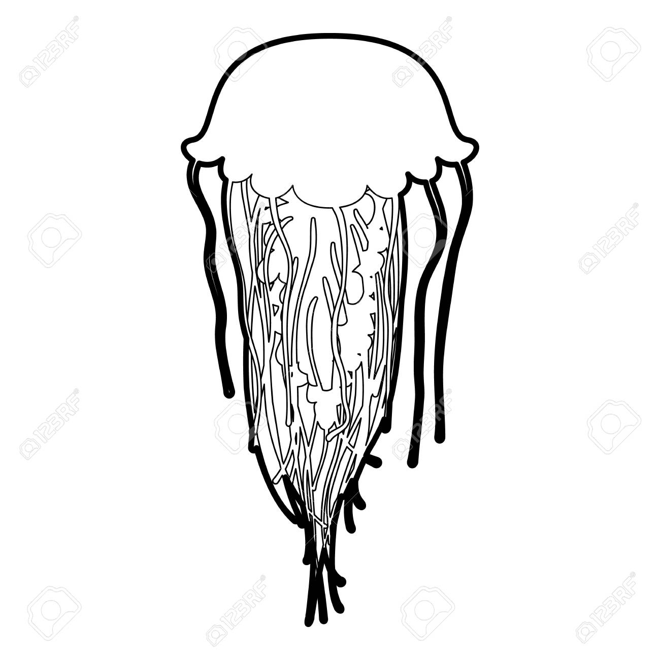 Jellyfish Icon In Outline Style Isolated On White Vector