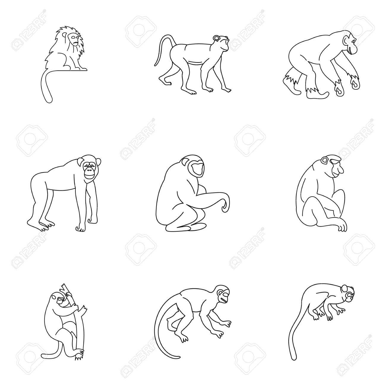tropical monkey icon set outline set of 9 tropical monkey vector monkey outline