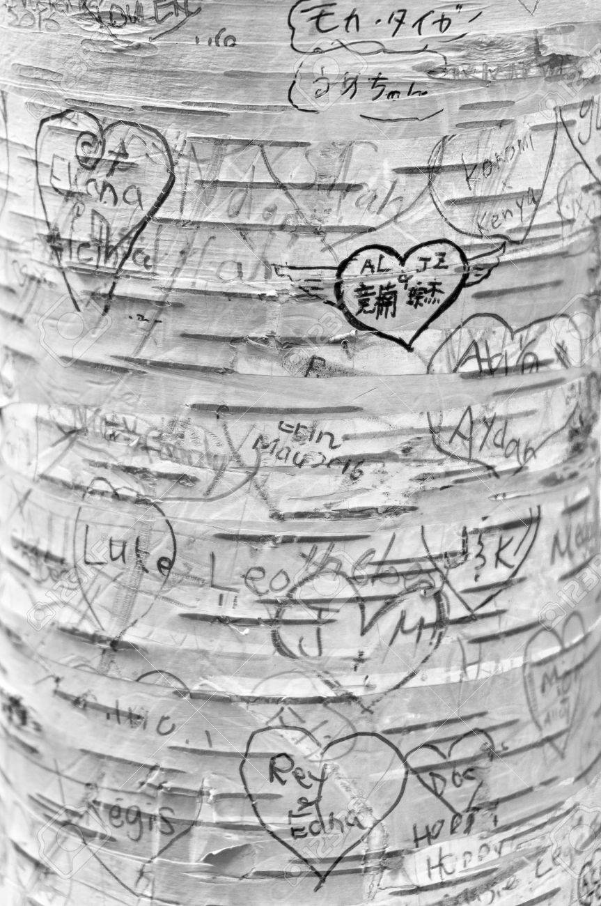 有名な作家ルーシー モード モンゴメリ 赤毛のアンの作者の恋人の車線 グリーン ゲイブルズ ヘリテージ プレイス 家ではツリーに愛のメッセージが刻まれました の写真素材 画像素材 Image