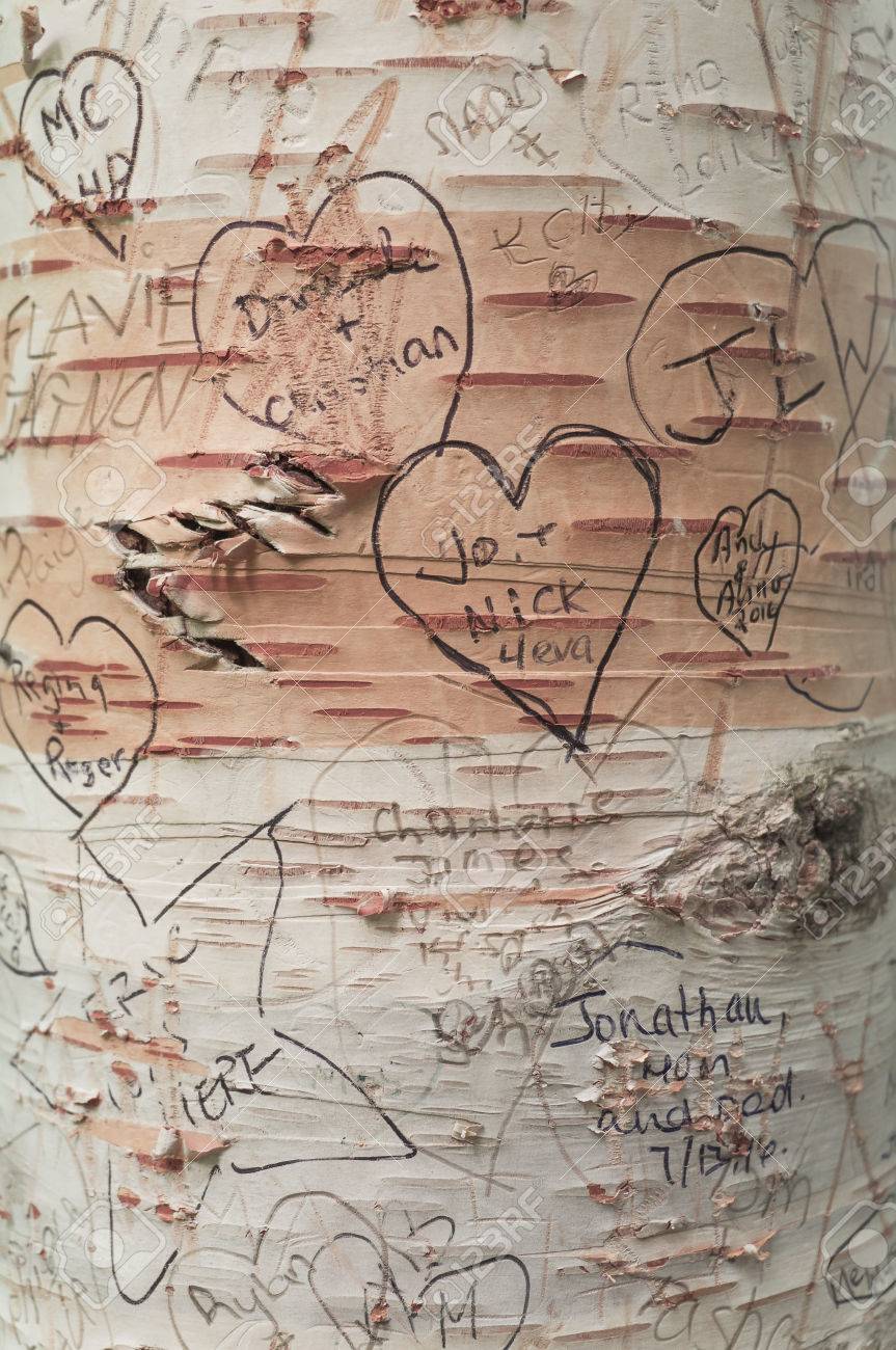 有名な作家ルーシー モード モンゴメリ 赤毛のアンの作者の恋人の車線 グリーン ゲイブルズ ヘリテージ プレイス 家では木にメッセージが大好き の写真素材 画像素材 Image