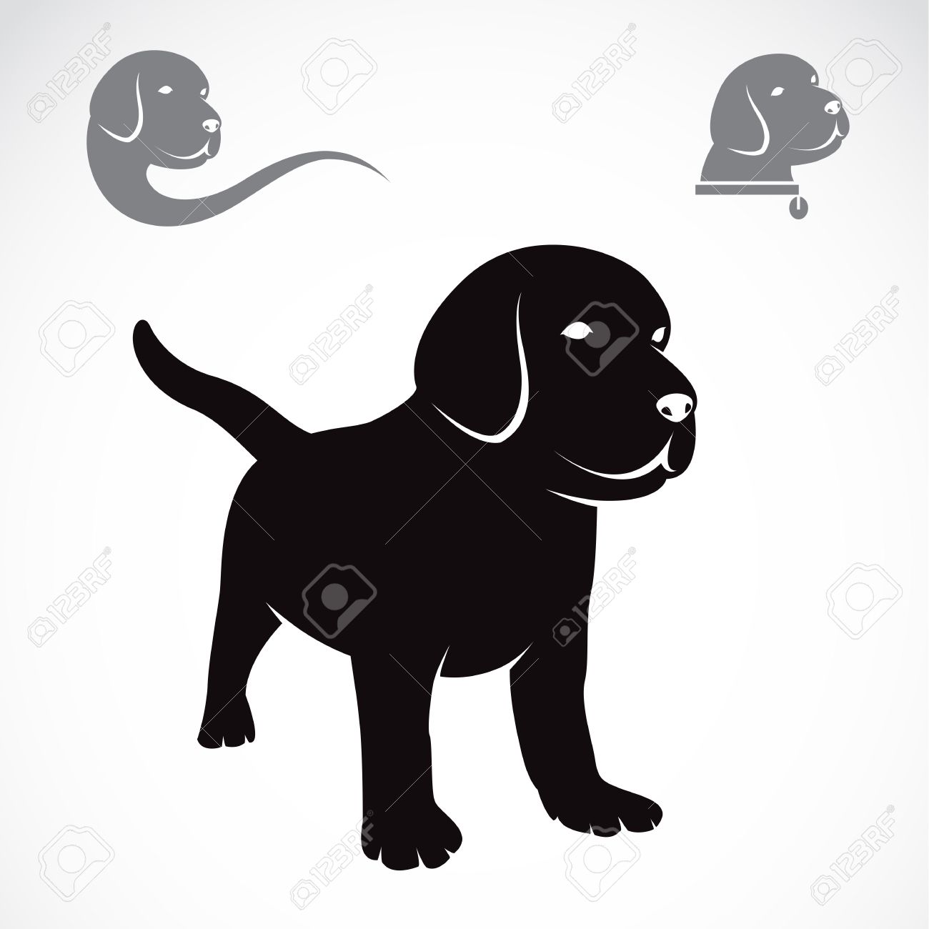 illustration image of an labrador puppies on white background