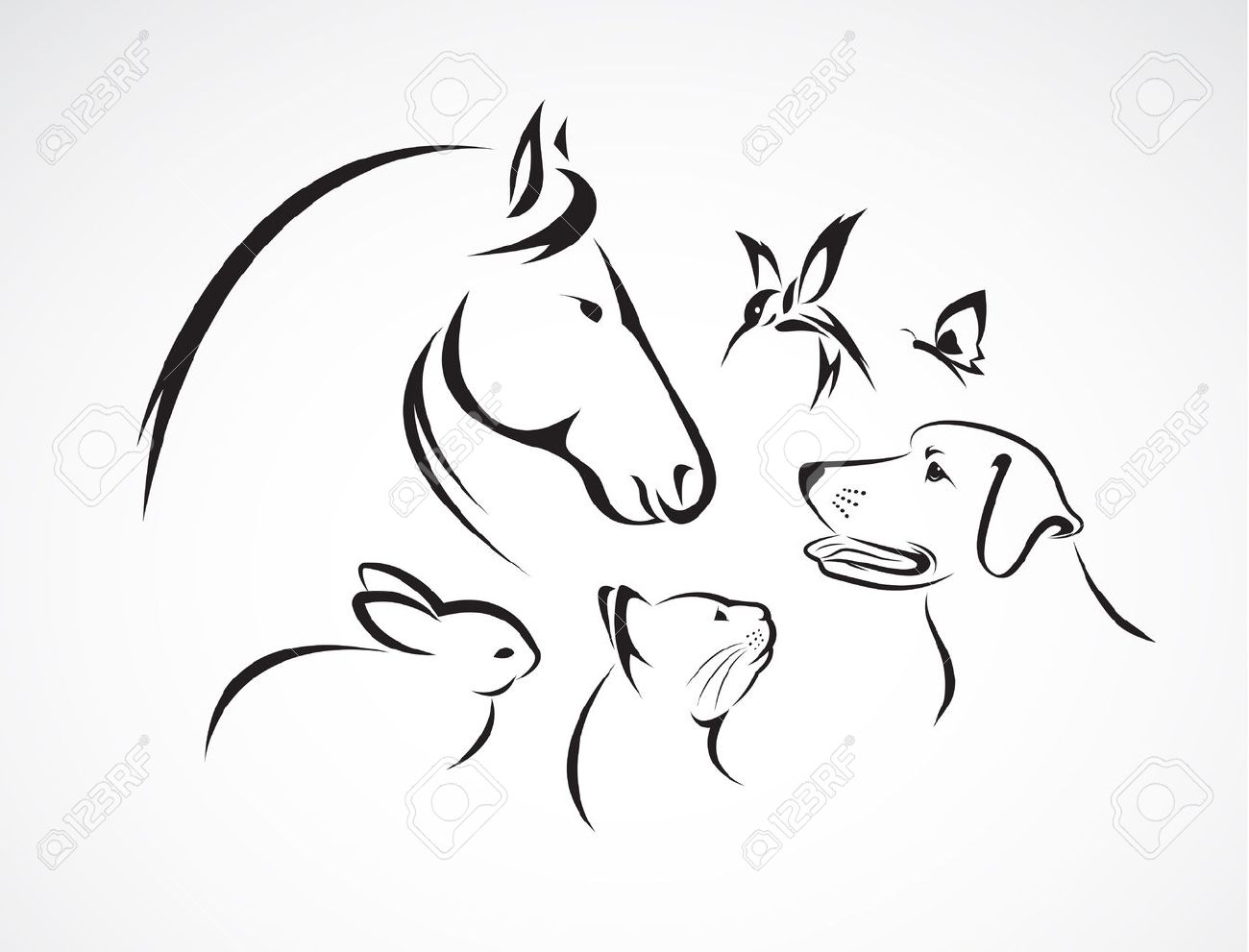 group of pets - Horse, dog, cat, bird, butterfly, rabbit isolated on white background - 57006586 group of pets - Horse, dog, cat, bird, butterfly, rabbit isolated on white background - 57006586