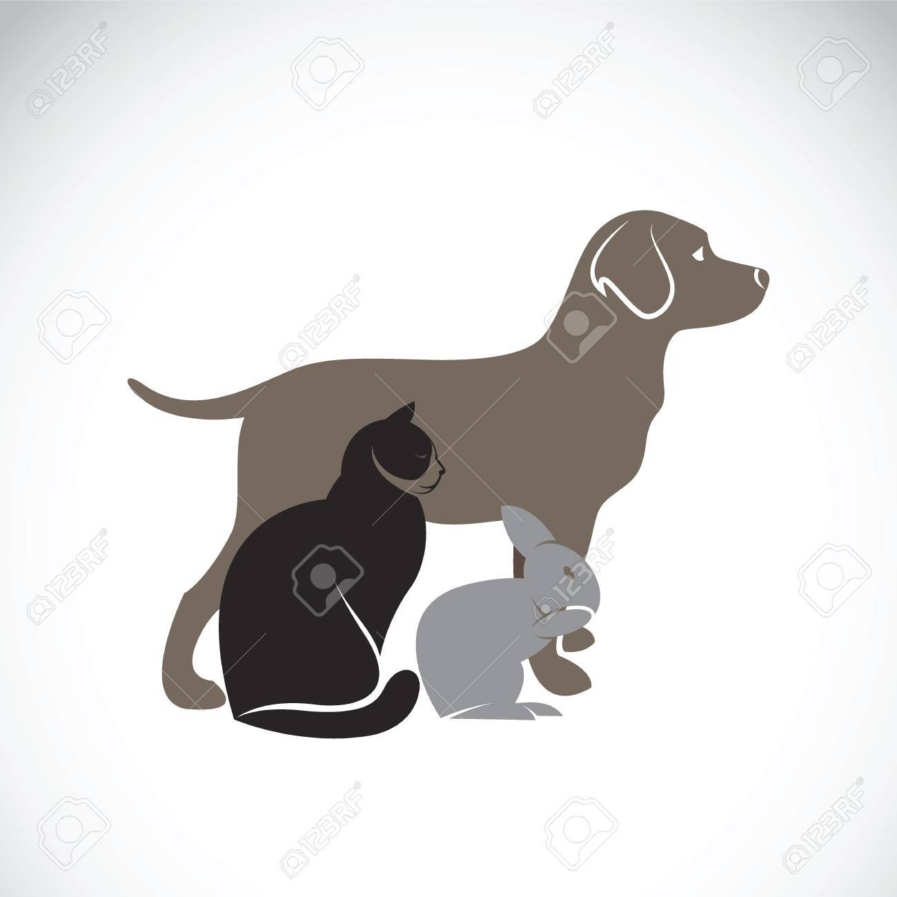 Groupe Vecteur D Animaux De Compagnie Chien Chat Lapin Isole Sur Fond Blanc Vector Illustration Pet Lovers Clip Art Libres De Droits Vecteurs Et Illustration Image
