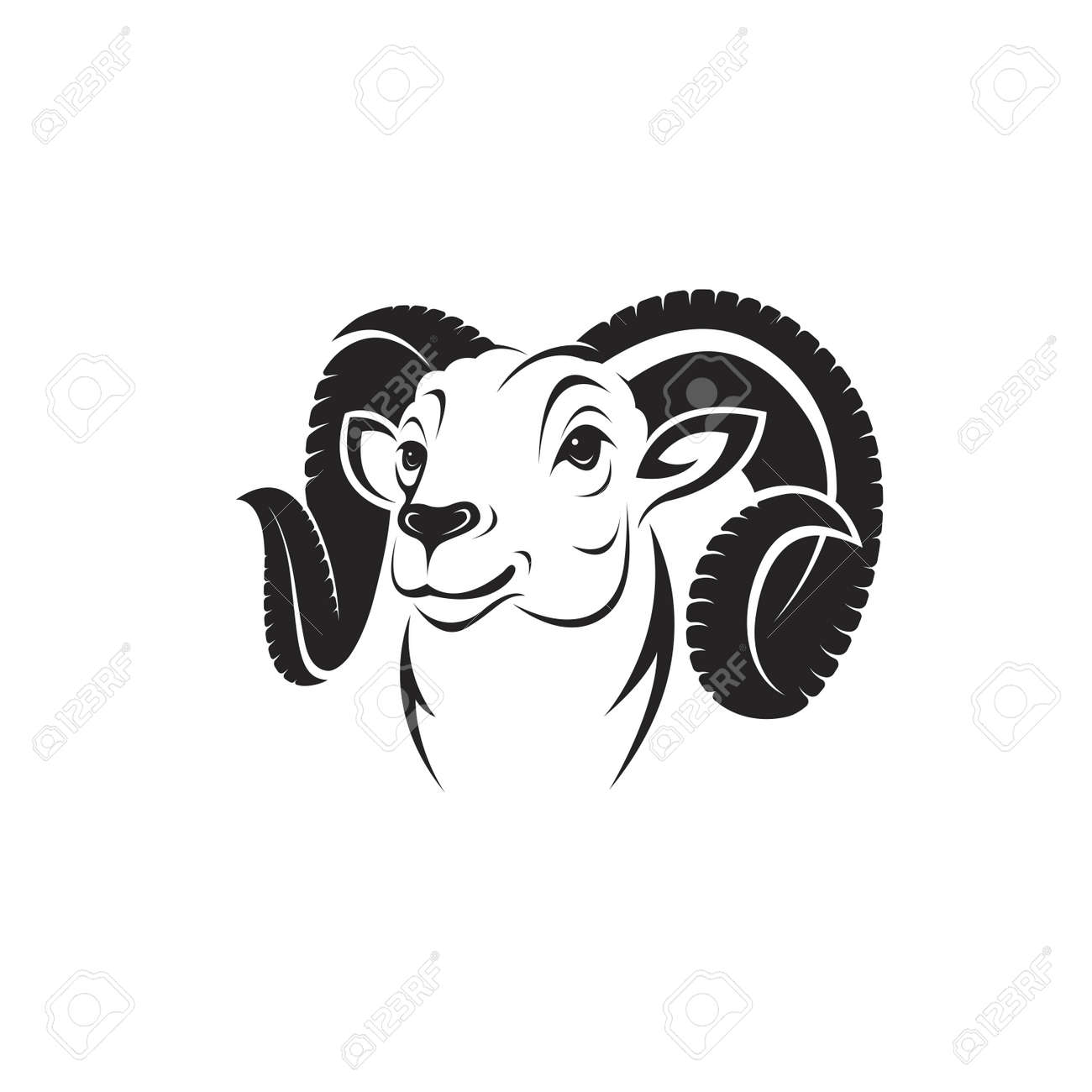 Vector Of Bighorn Ram Head On White Background. Easy Editable Layered  Vector Illustration. Wild Animals. Royalty Free SVG, Cliparts, Vectors, and  Stock Illustration. Image 165327016., image size:1300x1300