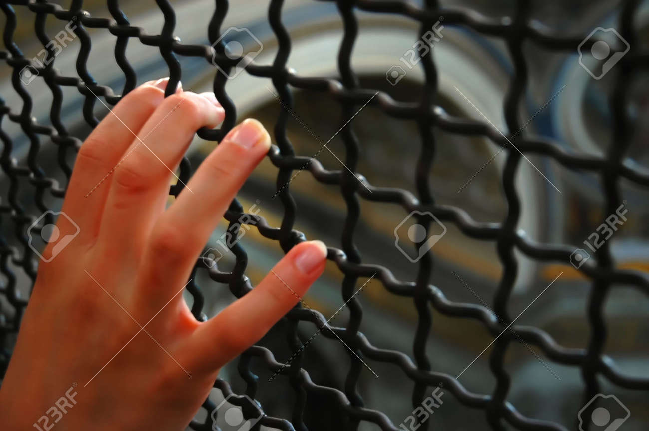 etiam-dictum-ipsum-a-felis